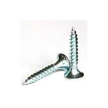 TORNILLO LENTEJA PUNTA FINA 4.2X19MM